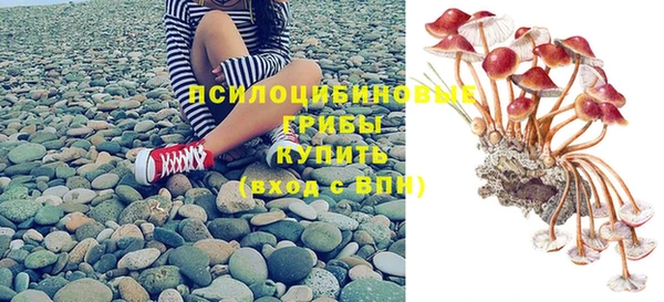стафф Алексеевка