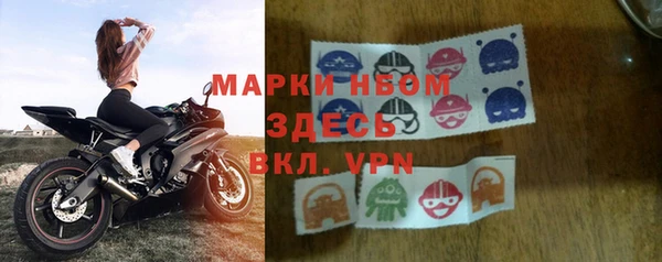 хмурый Алзамай