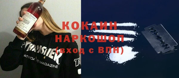 хмурый Алзамай