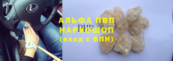хмурый Алзамай