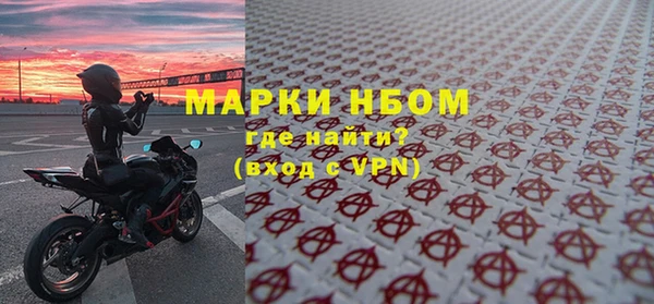 хмурый Алзамай