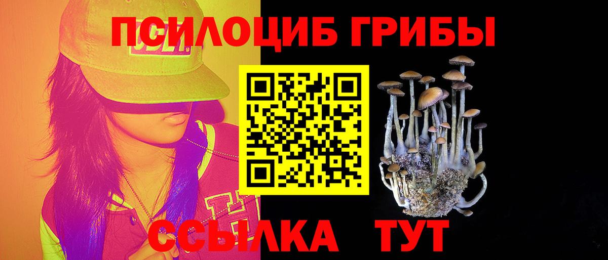 Галлюциногенные грибы Magic Shrooms Темрюк