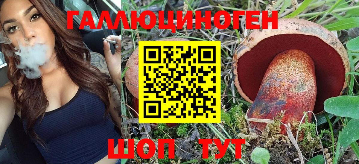 Галлюциногенные грибы Psilocybe  Вход с VPN  Темрюк 